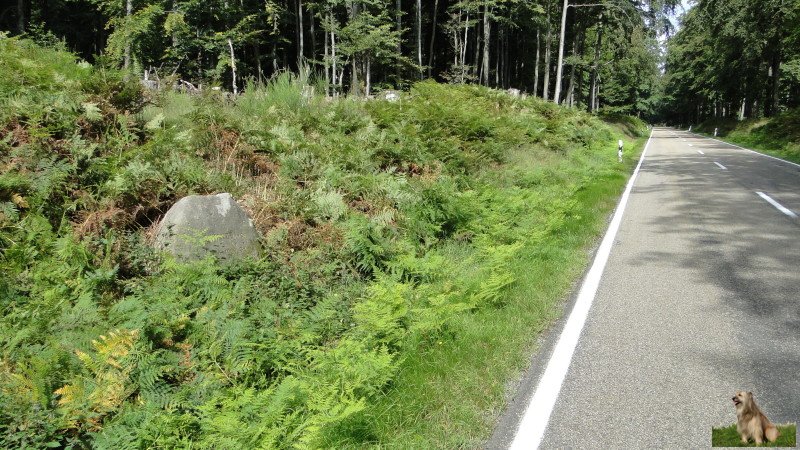 Ritterstein Nr. 061-3a Schanze 1794 100 Schr..JPG - Ritterstein Nr.61  Schanze 1794 100 Schr.